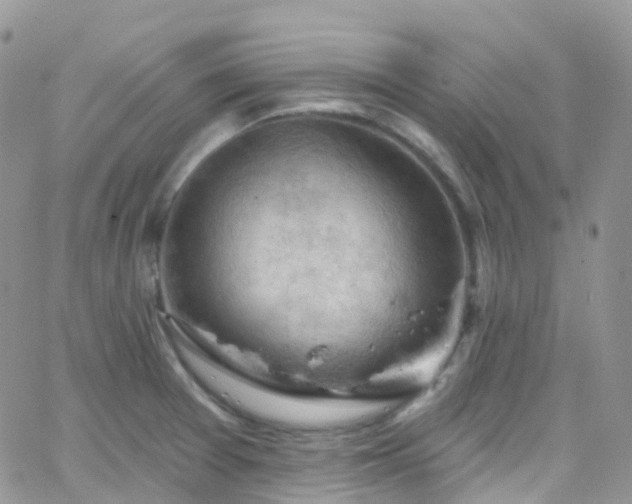 X0000066091377200603171045