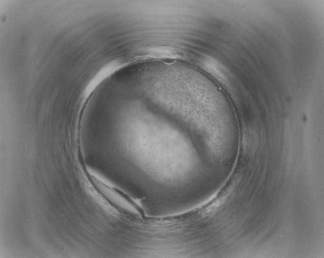 X0000066091378200603171045