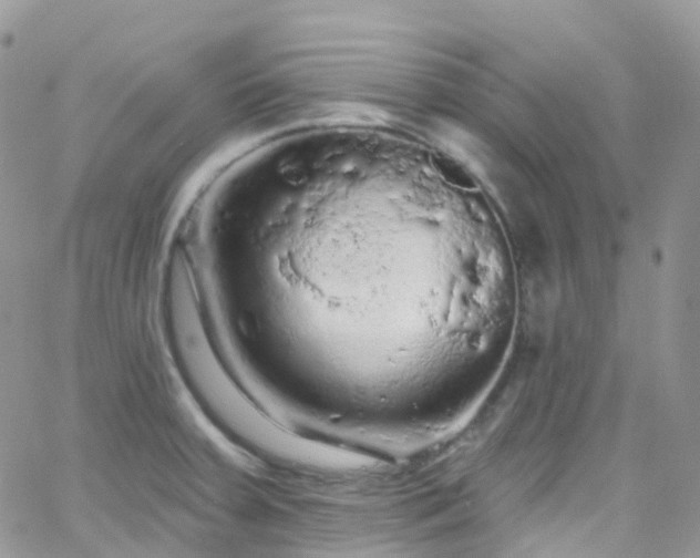 X0000066091379200603171045