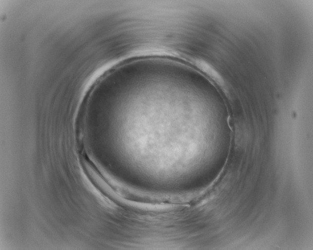 X0000066091380200603171045