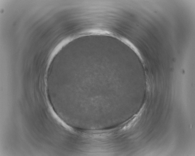 X0000066091381200603171044