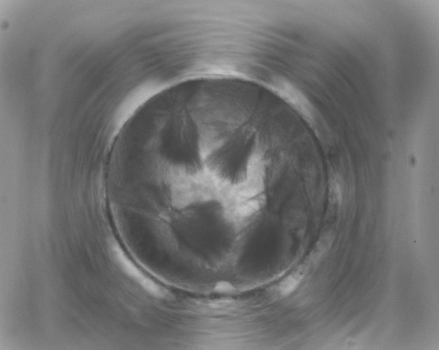 X0000066091382200603171044