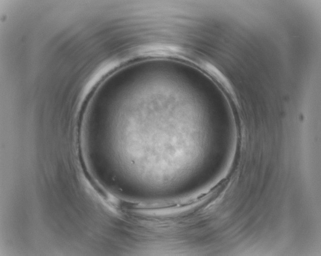 X0000066091384200603171044