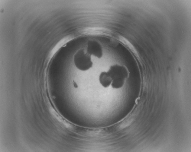 X0000066091386200603171044