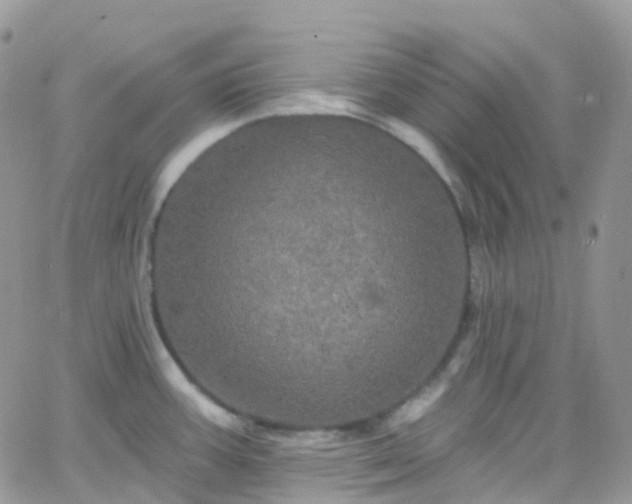 X0000066091387200603171044