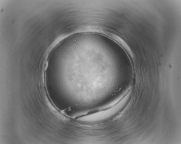 X0000066091388200603171044