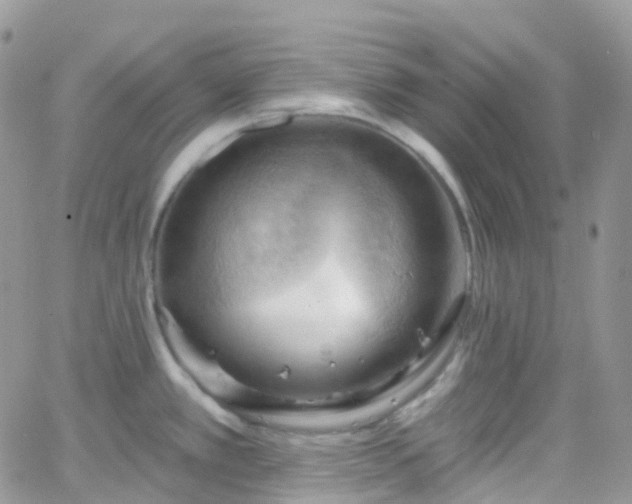 X0000066091389200603171044