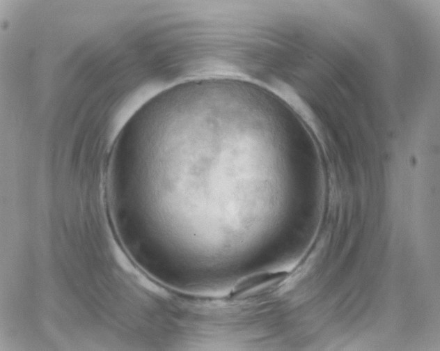 X0000066091390200603171044