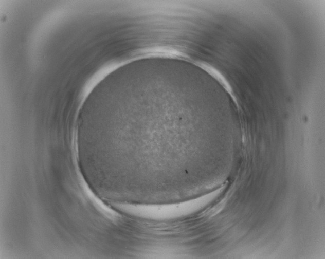 X0000066091391200603171044