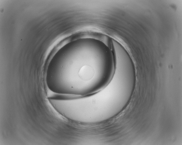 X0000066091392200603171044