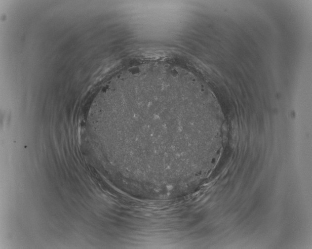 X0000066091394200603171044