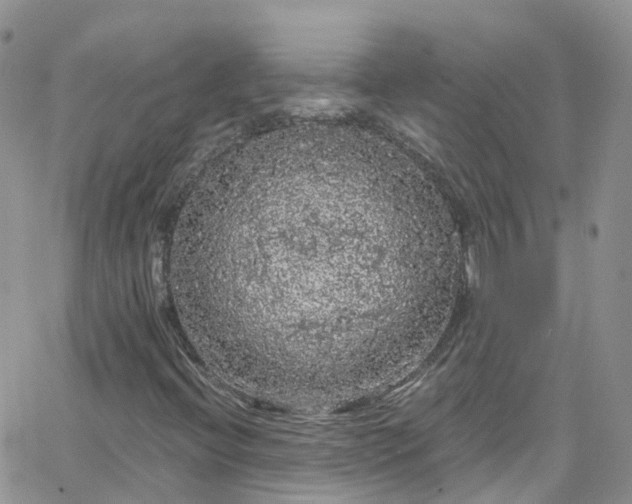 X0000066091396200603171044