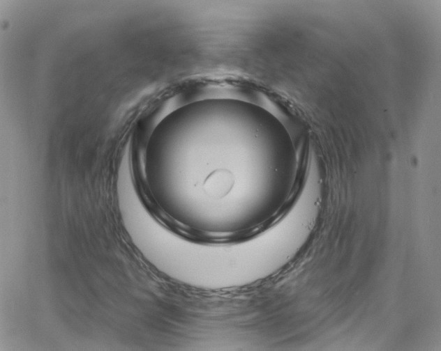 X0000066091398200603171044