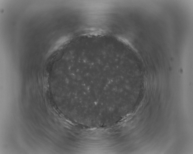 X0000066091399200603171044