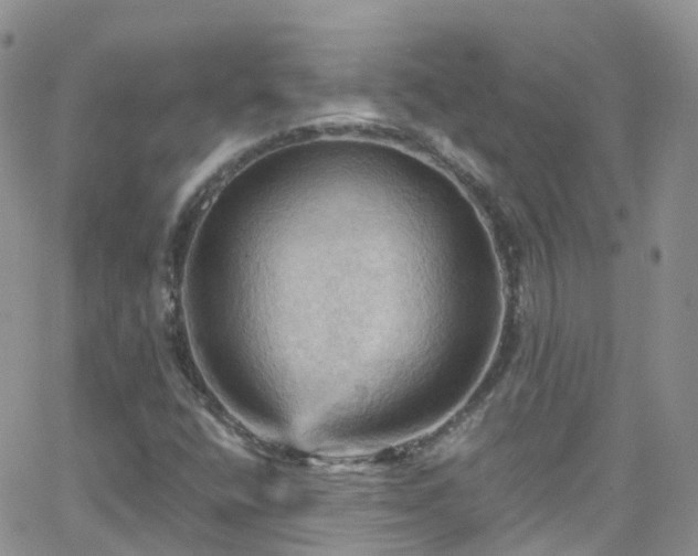 X0000066091400200603171044