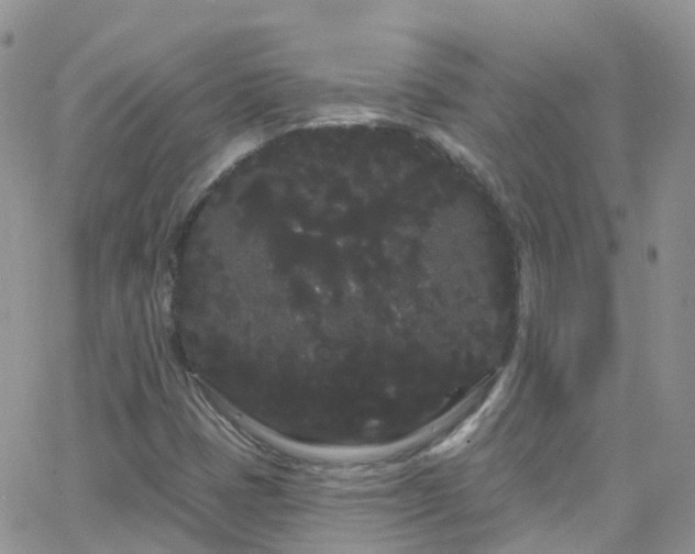 X0000066091401200603171044