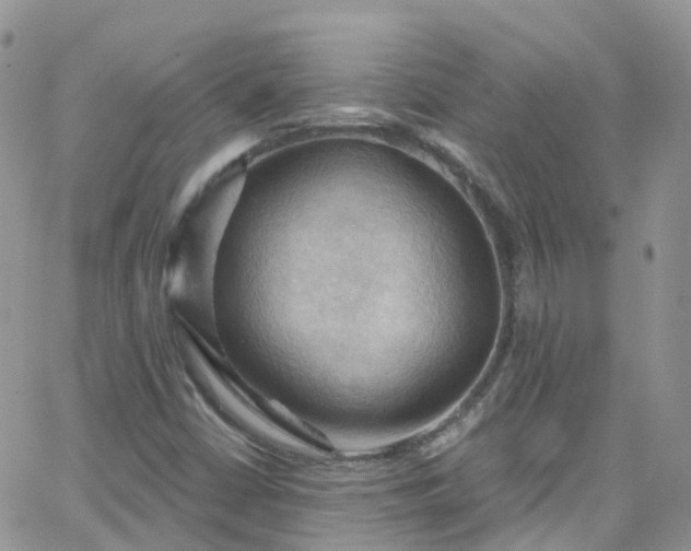 X0000066091402200603171044