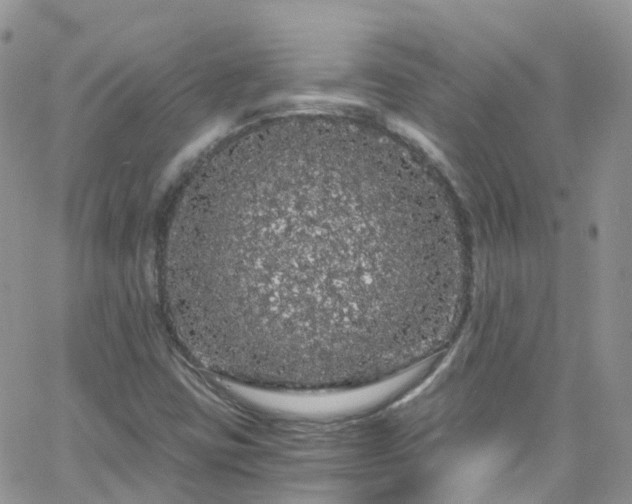 X0000066091403200603171044