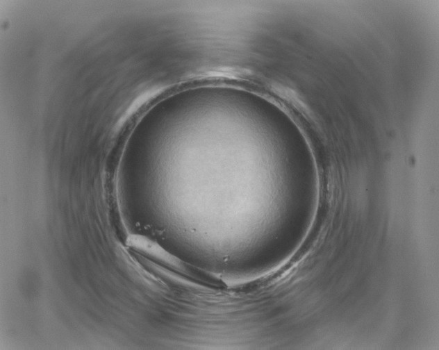 X0000066091404200603171044