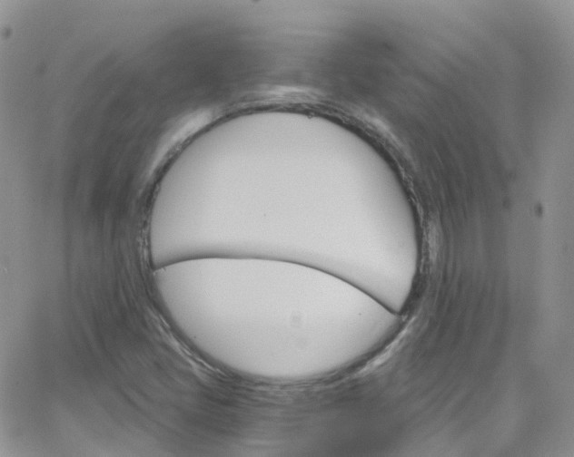 X0000066091405200603171044