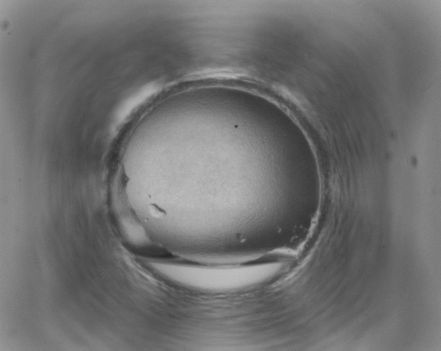 X0000066091406200603171044