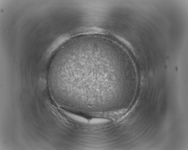 X0000066091407200603171044