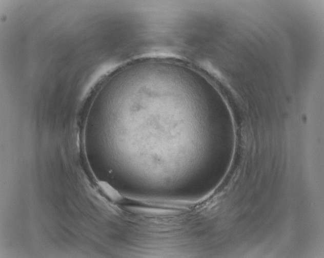 X0000066091408200603171044