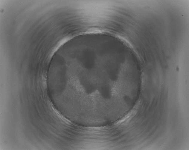 X0000066091409200603171044