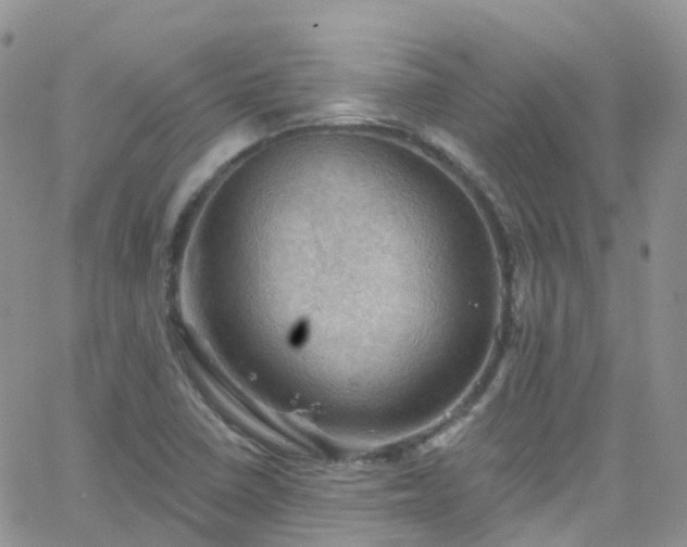 X0000066091410200603171044