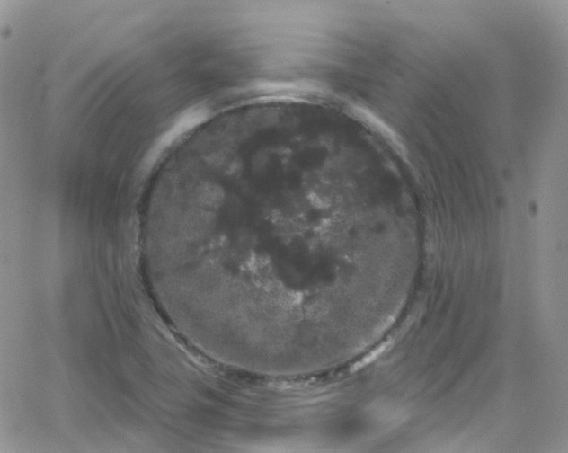 X0000066091411200603171044