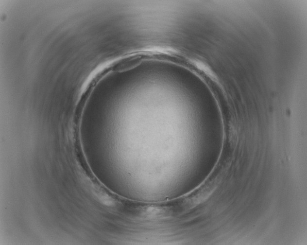 X0000066091412200603171044