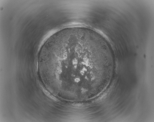 X0000066091413200603171044