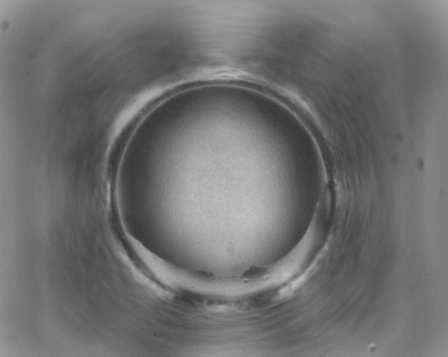 X0000066091414200603171044