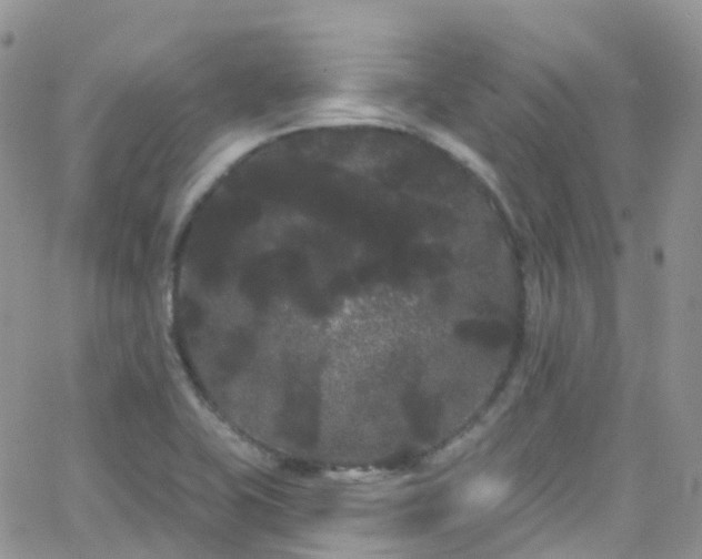 X0000066091415200603171044