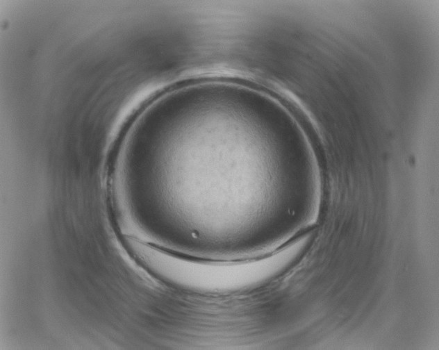 X0000066091416200603171044