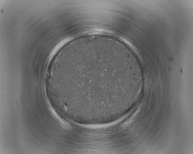 X0000066091418200603171044