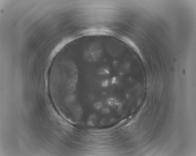 X0000066091419200603171044