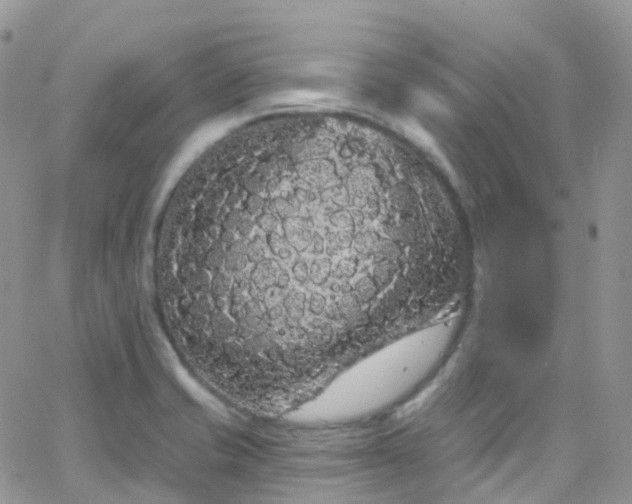 X0000066091421200603171044