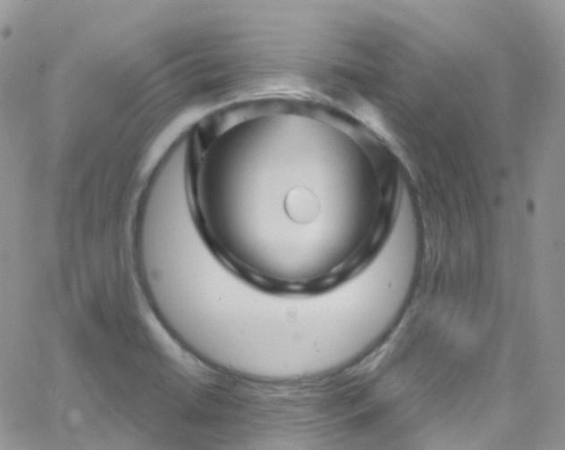 X0000066091422200603171044