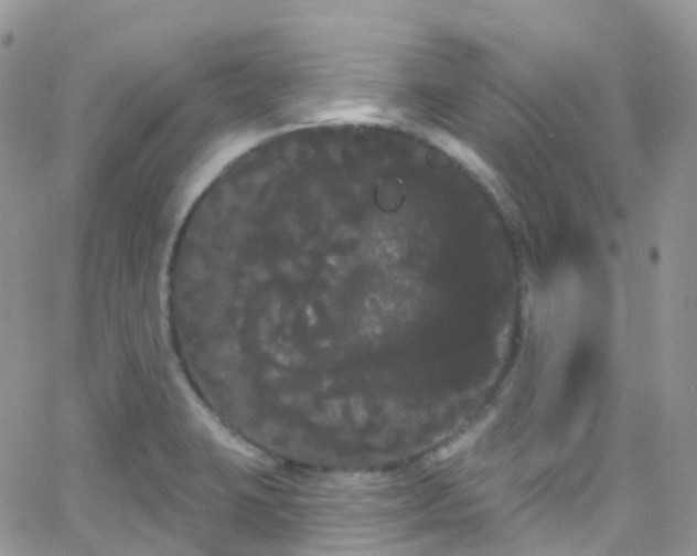 X0000066091423200603171044