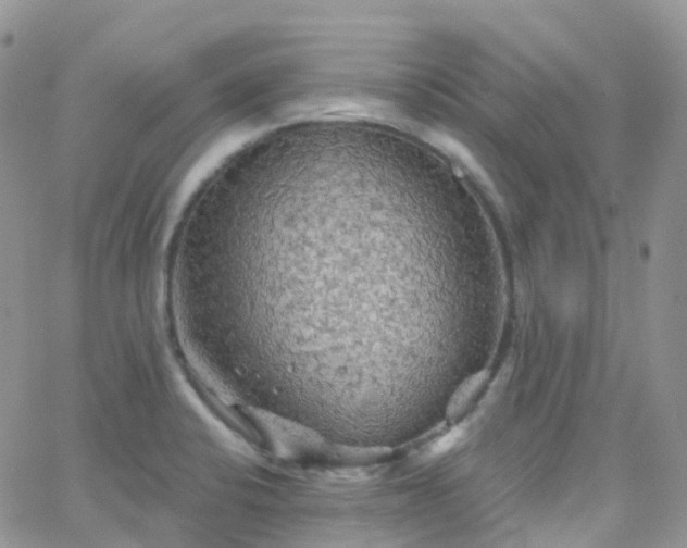 X0000066091424200603171044