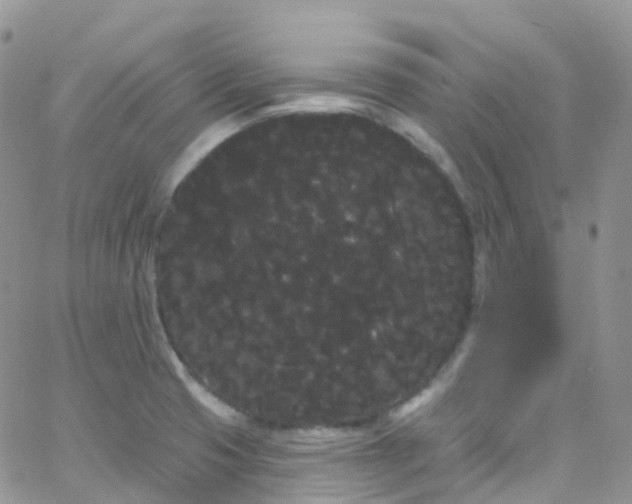 X0000066091425200603171044