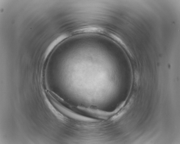 X0000066091426200603171044