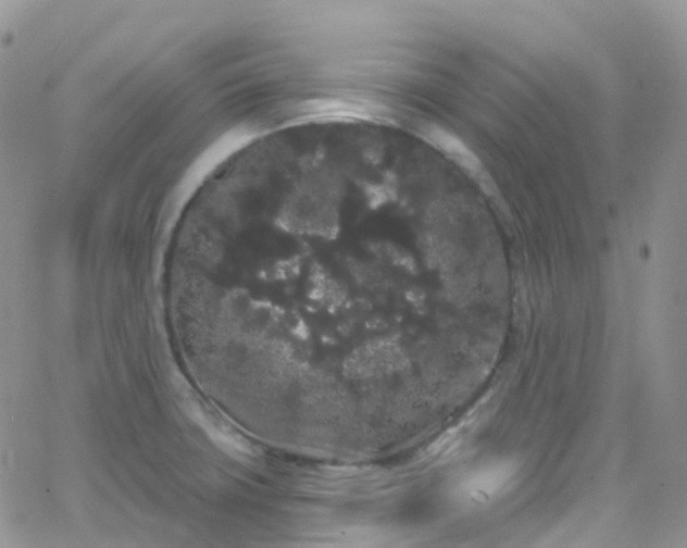 X0000066091427200603171044