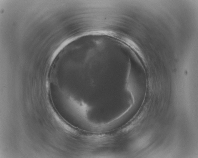 X0000066091428200603171044