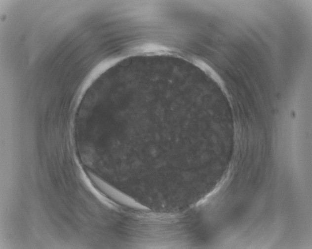 X0000066091429200603171044