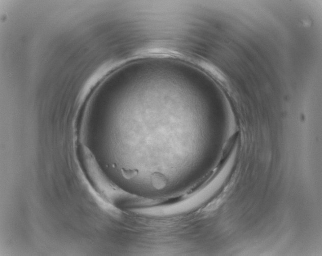 X0000066091430200603171044