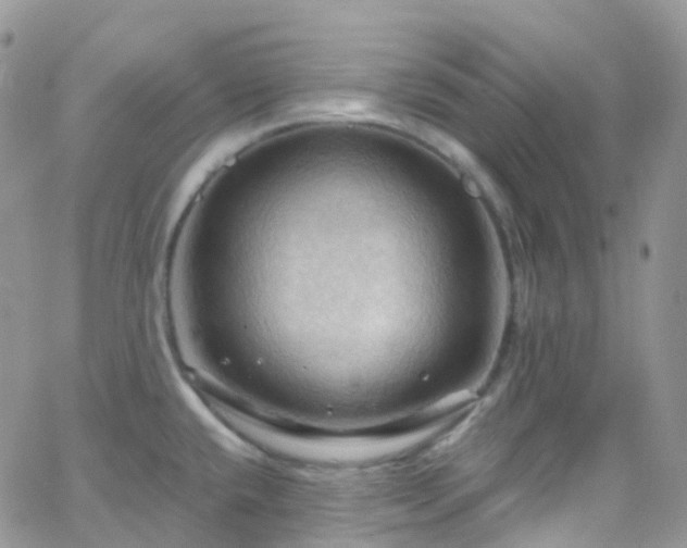 X0000066091432200603171044