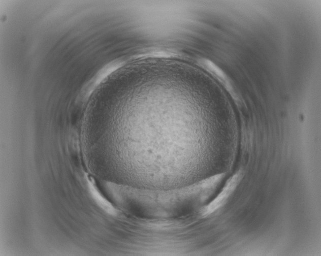 X0000066091433200603171044