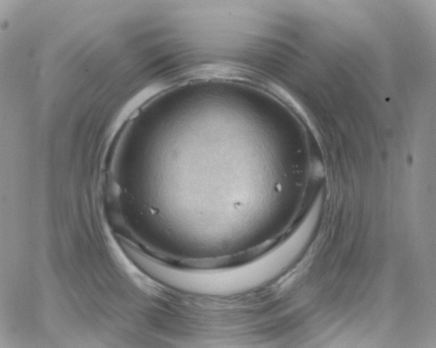 X0000066091434200603171044